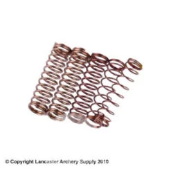 Beiter Plunger Spring