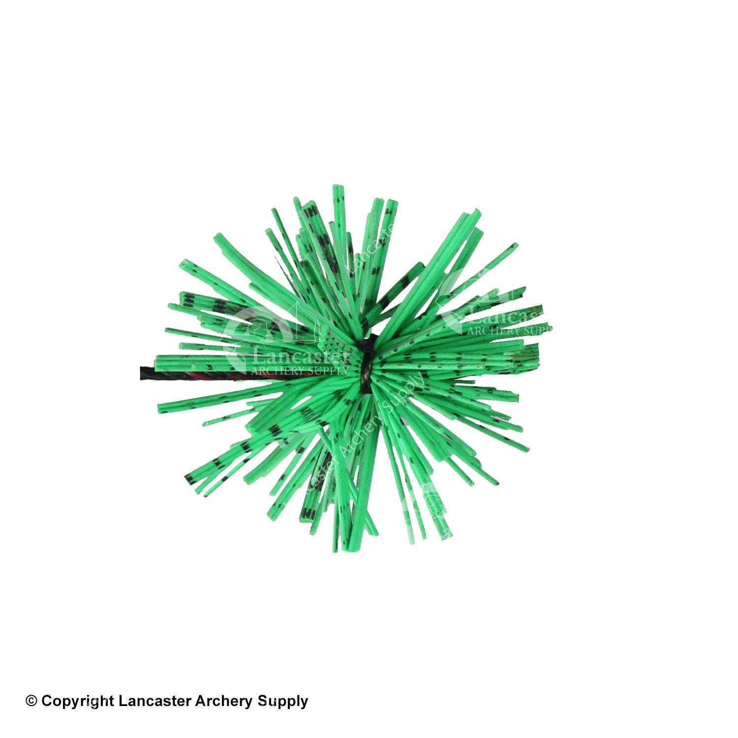 X-Spot Tiger Striped Whiskers - Image 7