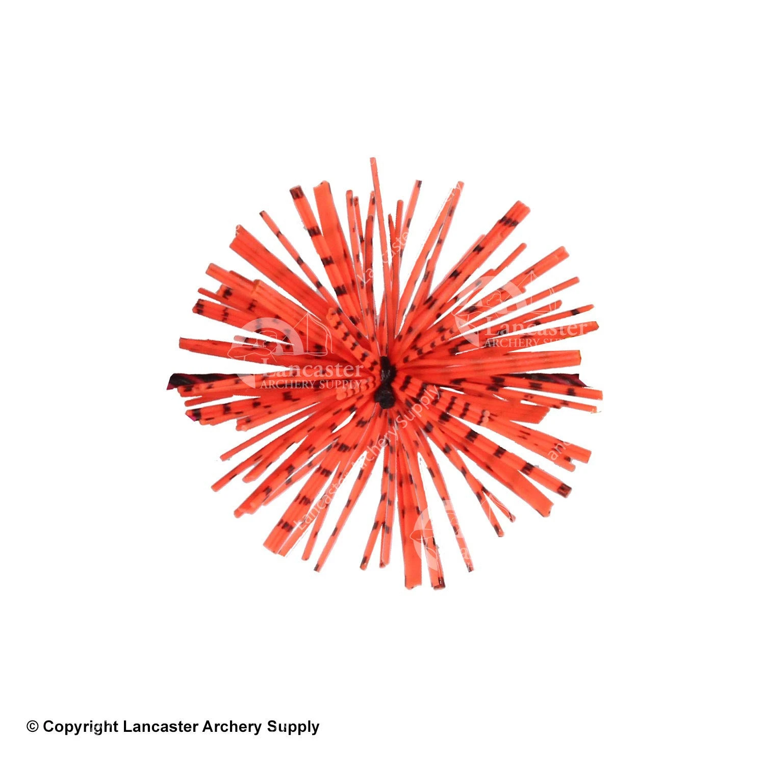 X-Spot Tiger Striped Whiskers - Image 5