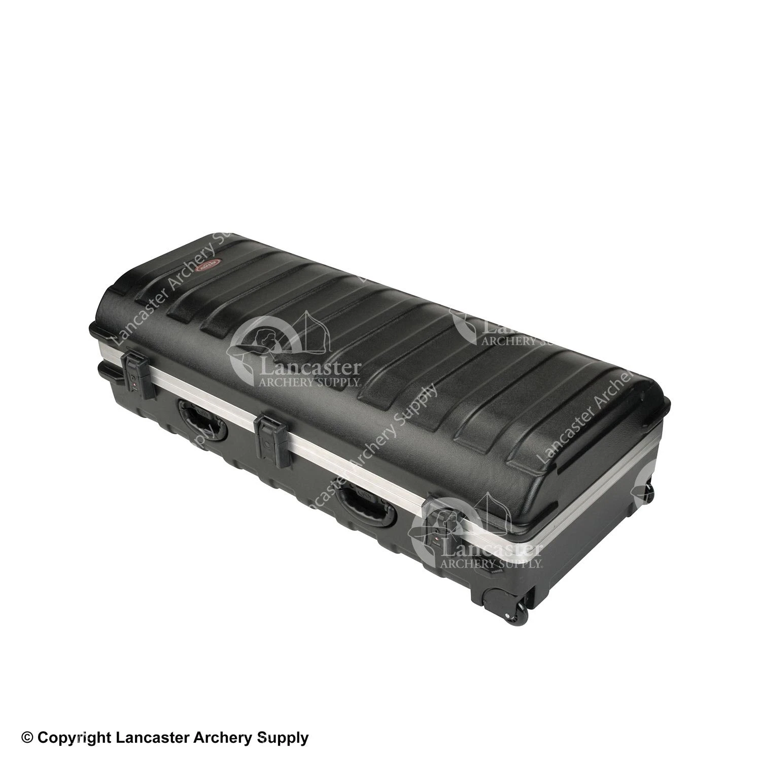 SKB Double ATA Travel Case